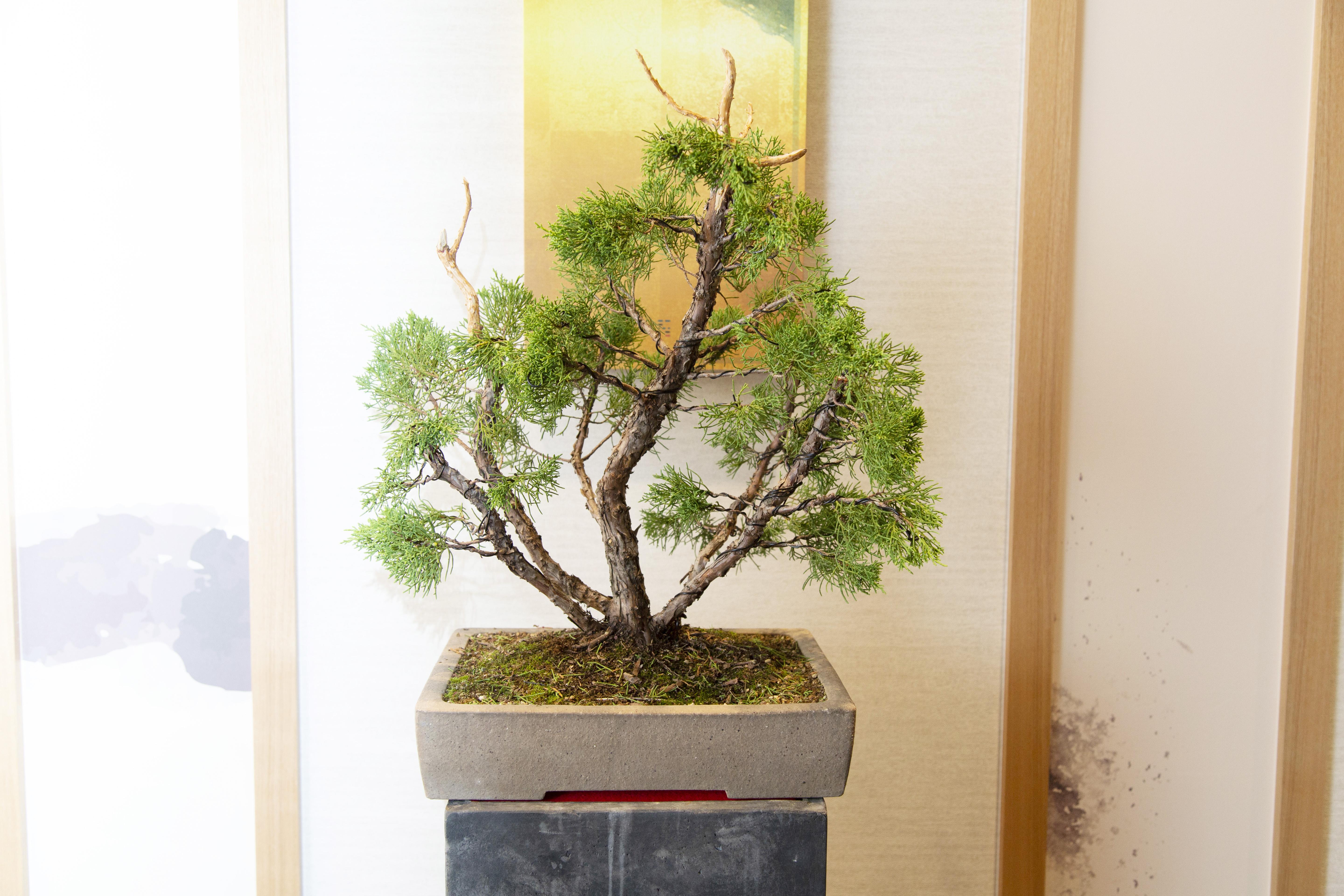 HOTEL HILLARYS Shinsaibashi - Vacation STAY 77457v Osaka Esterno foto